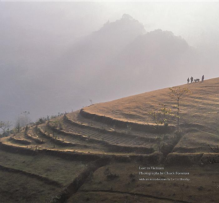 Vorderes Coverbild Lost in Vietnam