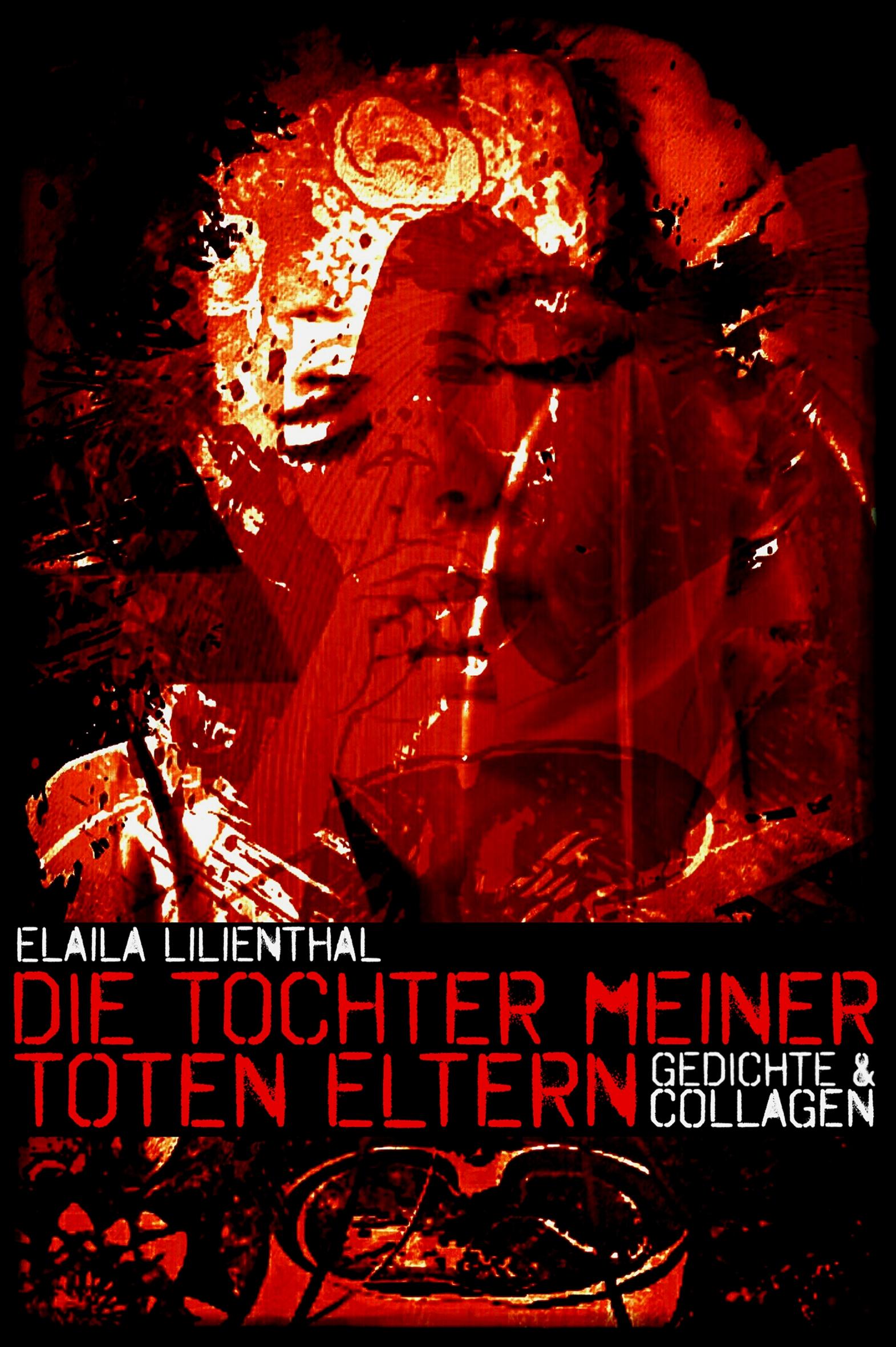 Vorderes Coverbild Die Tochter meiner toten Eltern