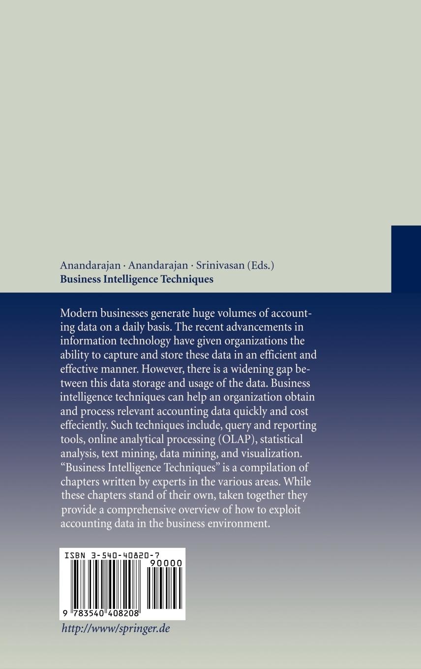 Rückseitencover Business Intelligence Techniques