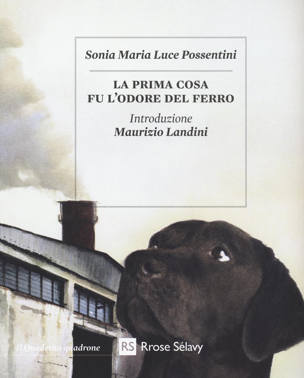 Vorderes Coverbild La prima cosa fu l'odore del ferro