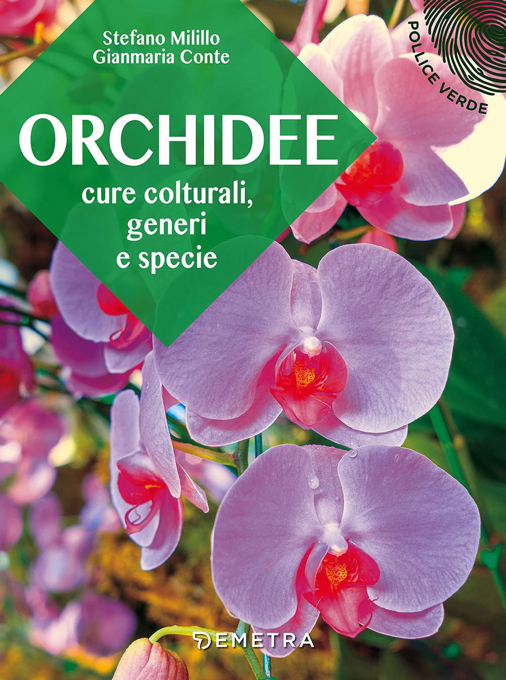 Vorderes Coverbild Orchidee. Cure colturali, generi e specie