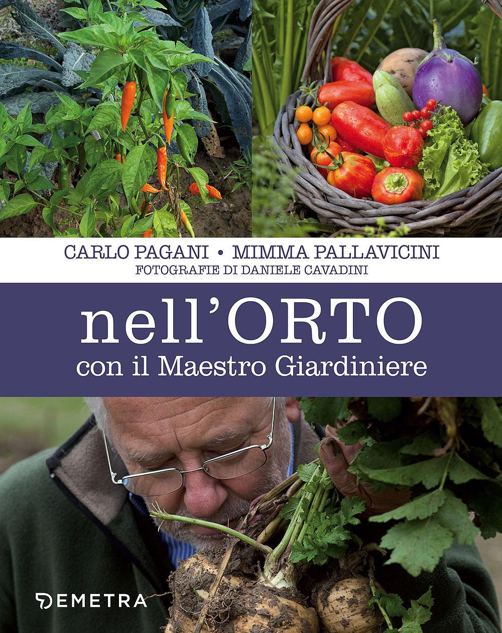 Vorderes Coverbild Nell'orto con il maestro giardiniere