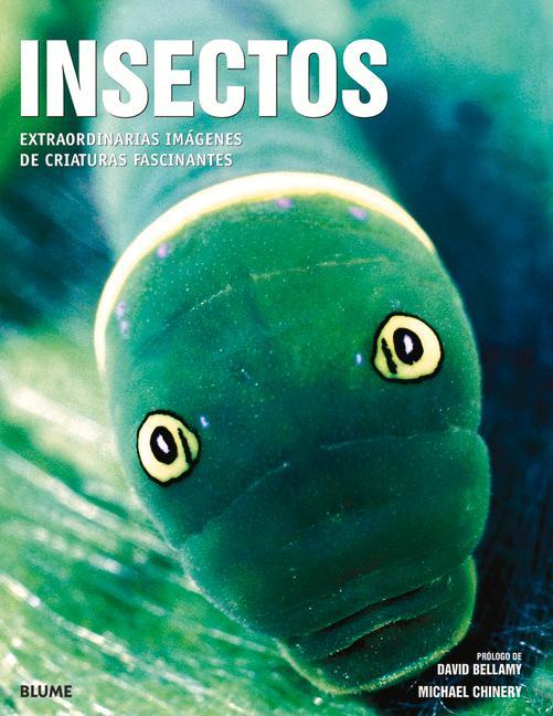 Vorderes Coverbild Insectos