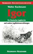 Vorderes Coverbild Igor - ein Deutscher Jagdterrier