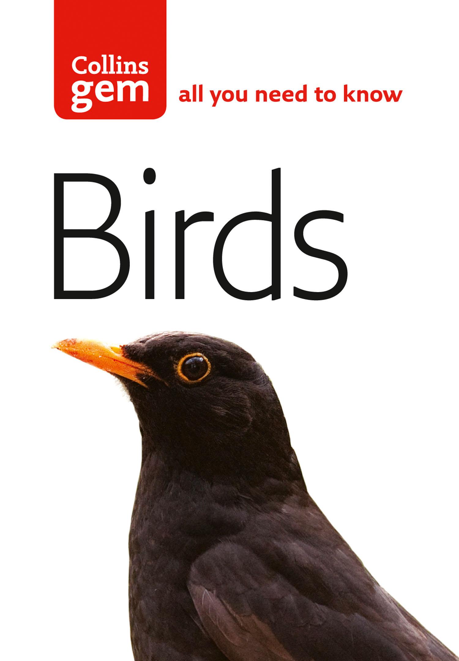 Vorderes Coverbild Birds
