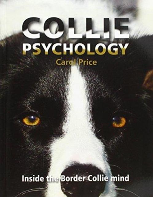 Vorderes Coverbild Collie Psychology
