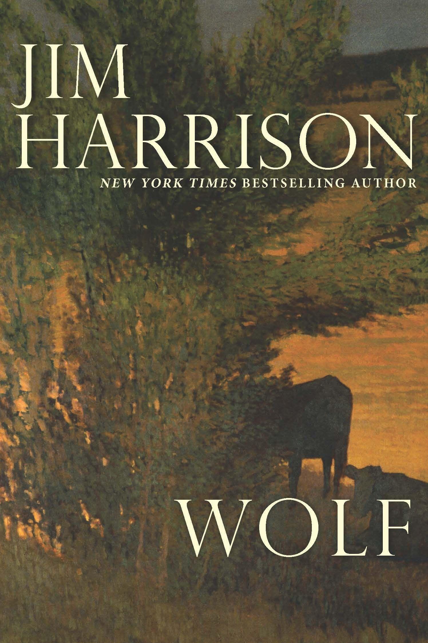 Vorderes Coverbild Wolf