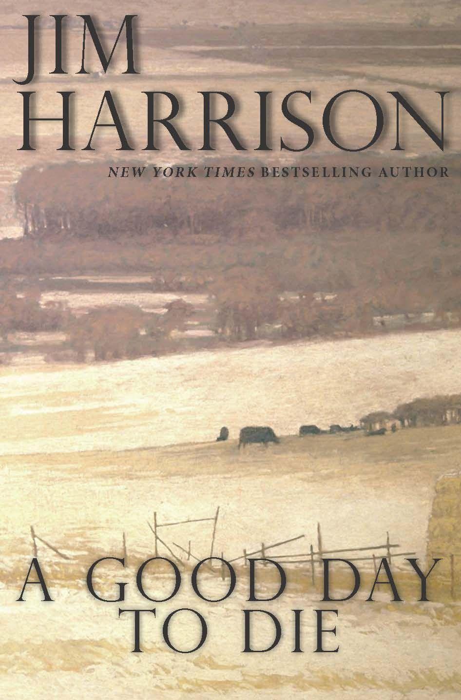 Vorderes Coverbild A Good Day to Die