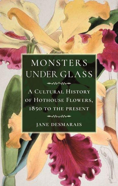 Vorderes Coverbild Monsters Under Glass