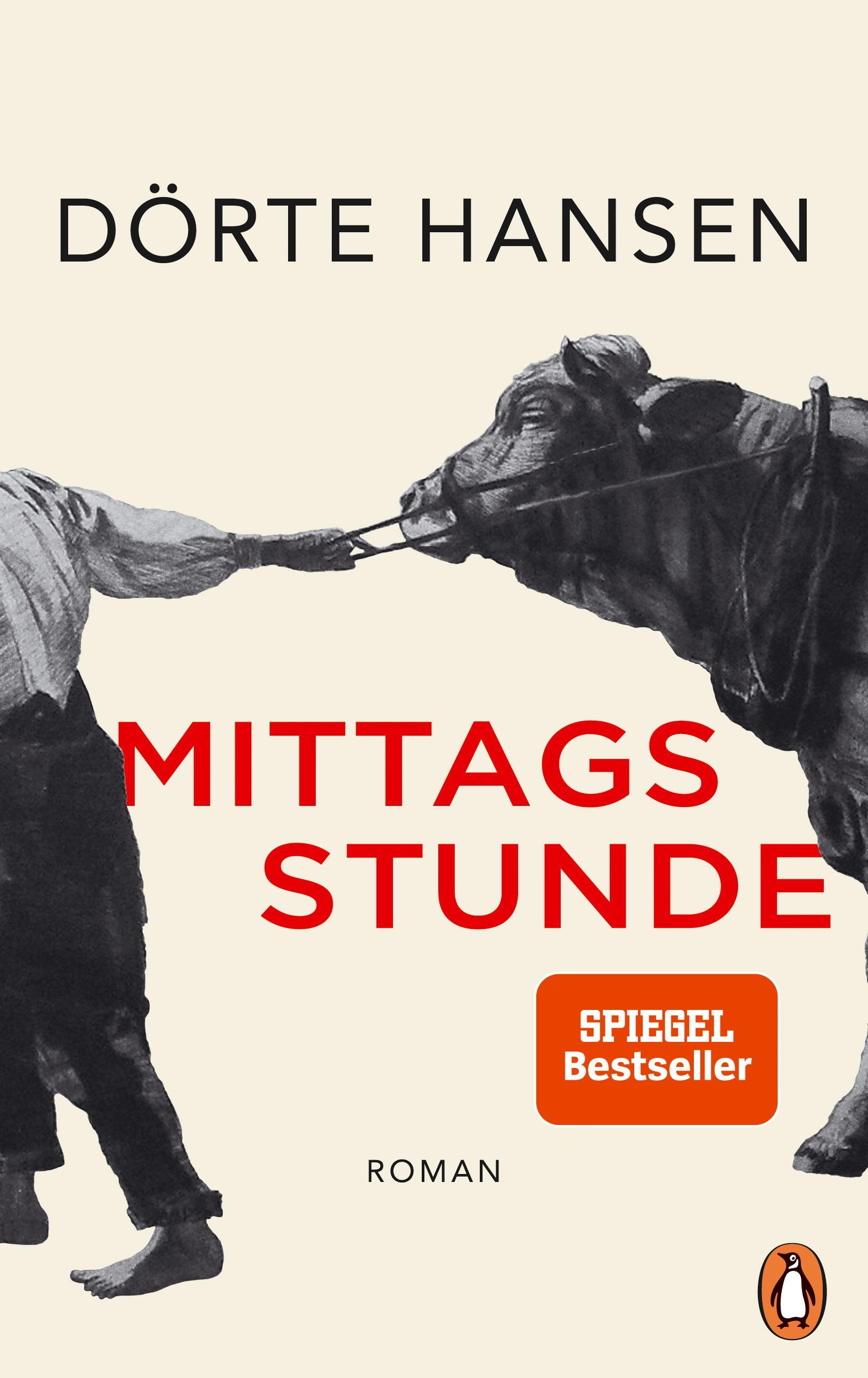 Vorderes Coverbild Mittagsstunde