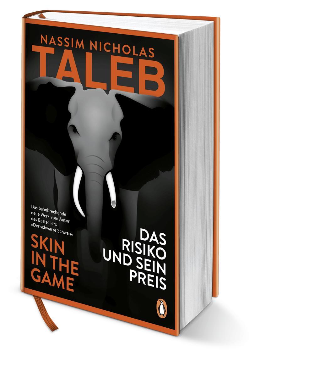 Beispielinhalt (Bild) Das Risiko und sein Preis - Skin in the Game
