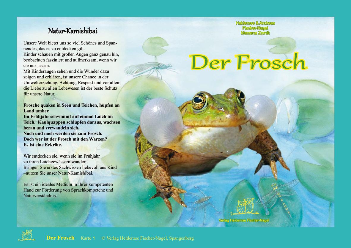 Vorderes Coverbild Natur-Kamishibai - Der Frosch