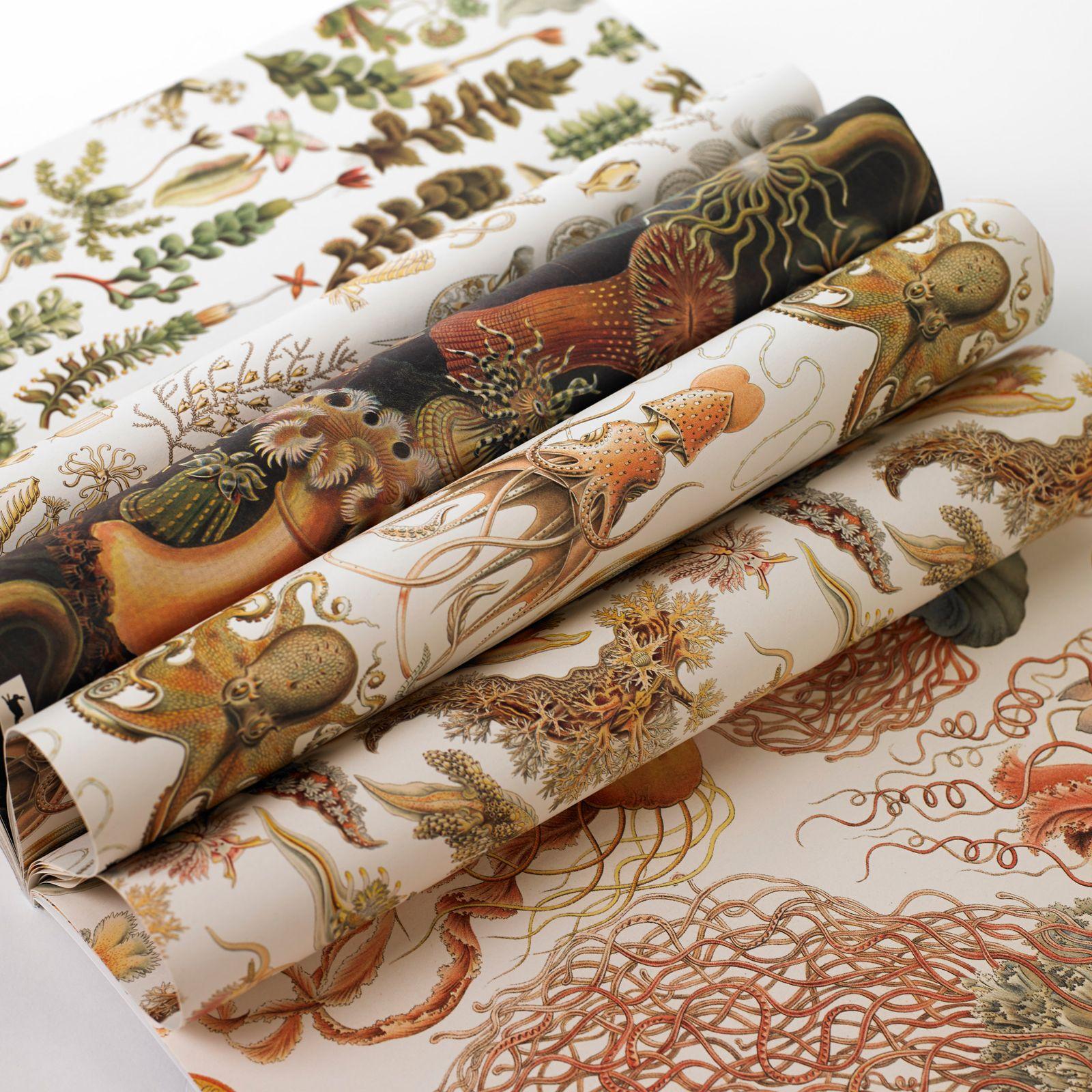 Beispielinhalt (Bild) Art Forms in Nature