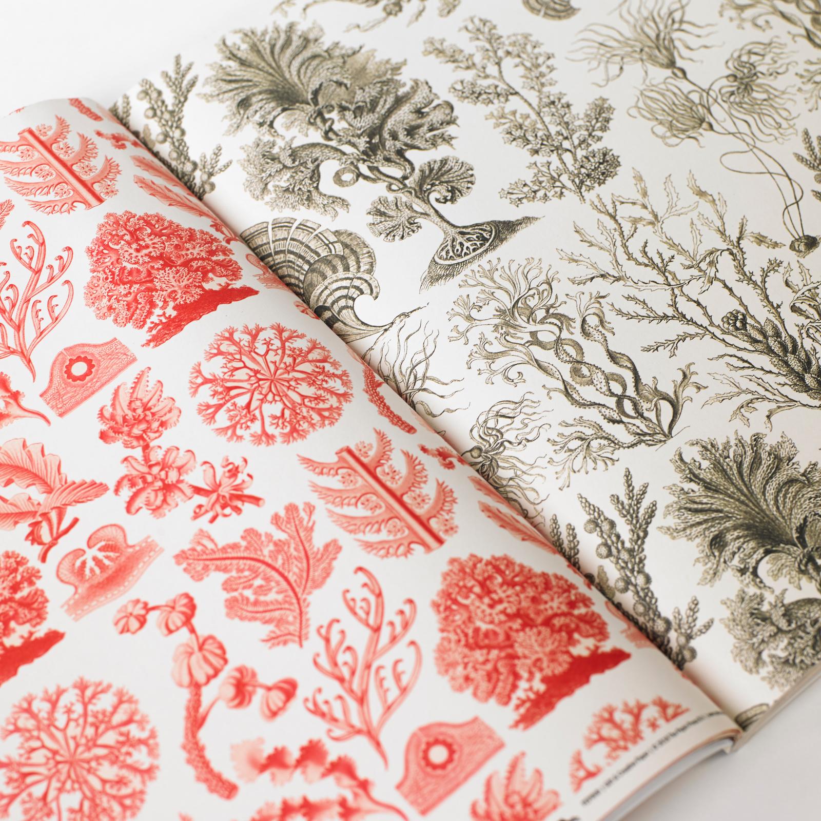 Beispielinhalt (Bild) Art Forms in Nature