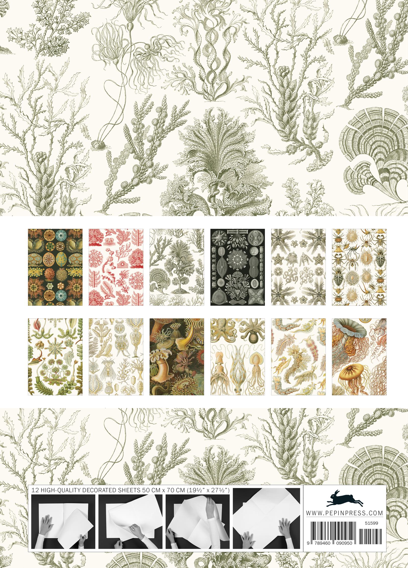 Beispielinhalt (Bild) Art Forms in Nature