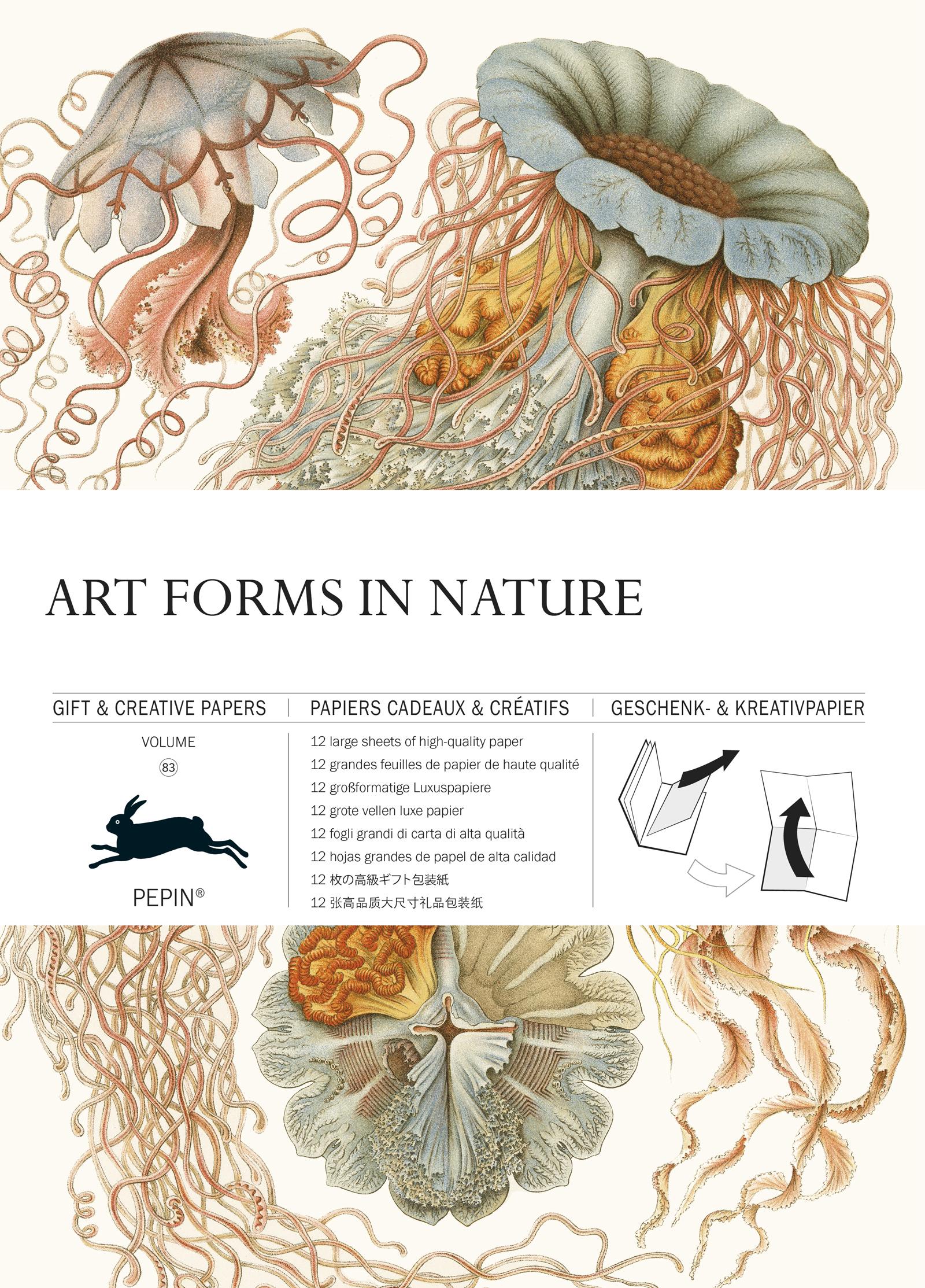 Vorderes Coverbild Art Forms in Nature