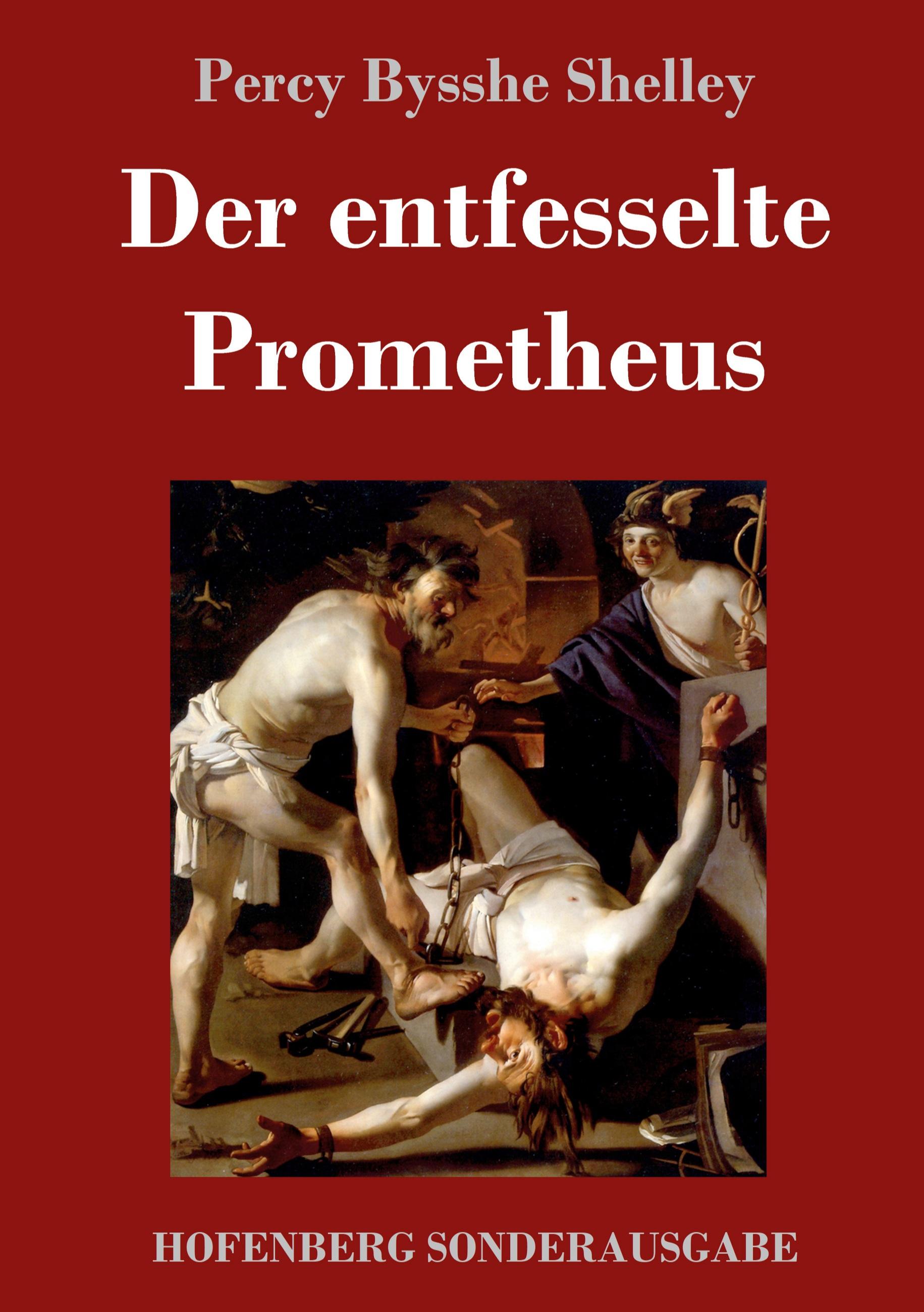 Vorderes Coverbild Der entfesselte Prometheus