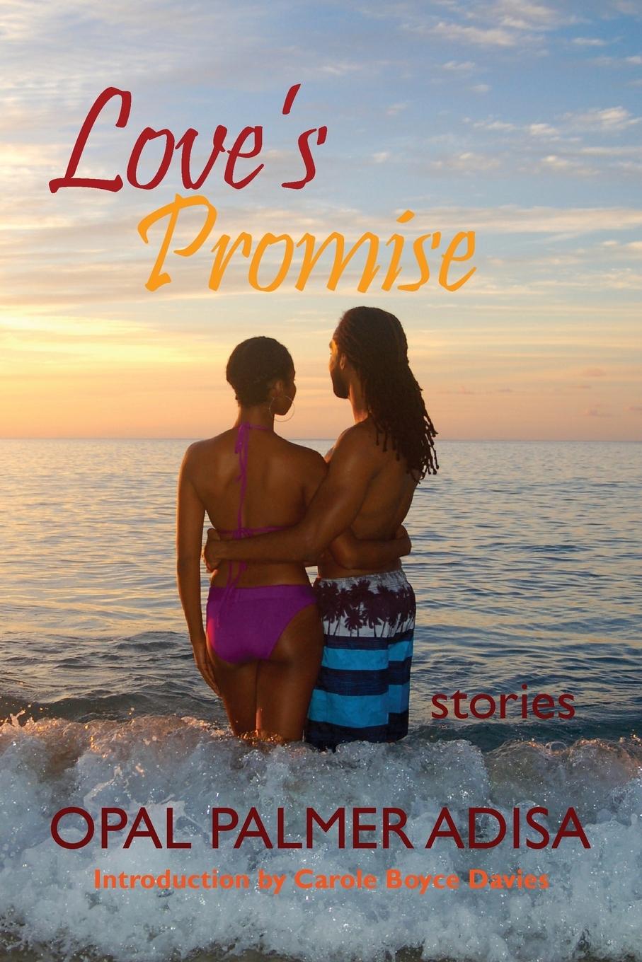 Vorderes Coverbild Love's Promise