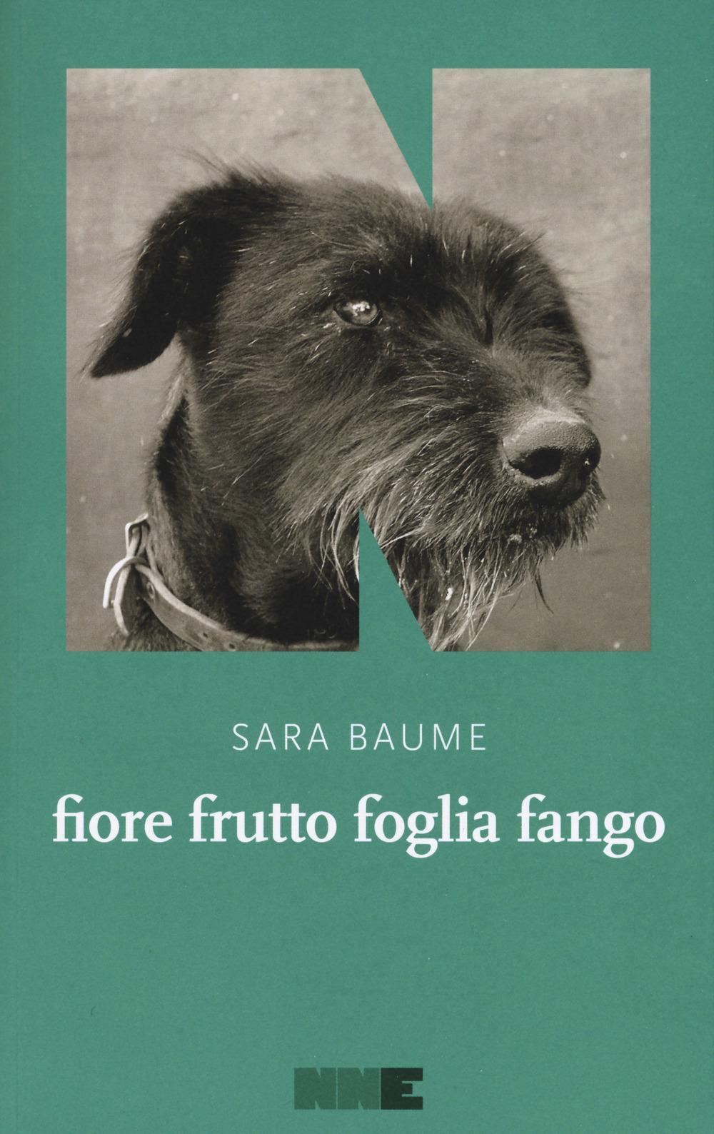 Vorderes Coverbild Fiore frutto foglia fango