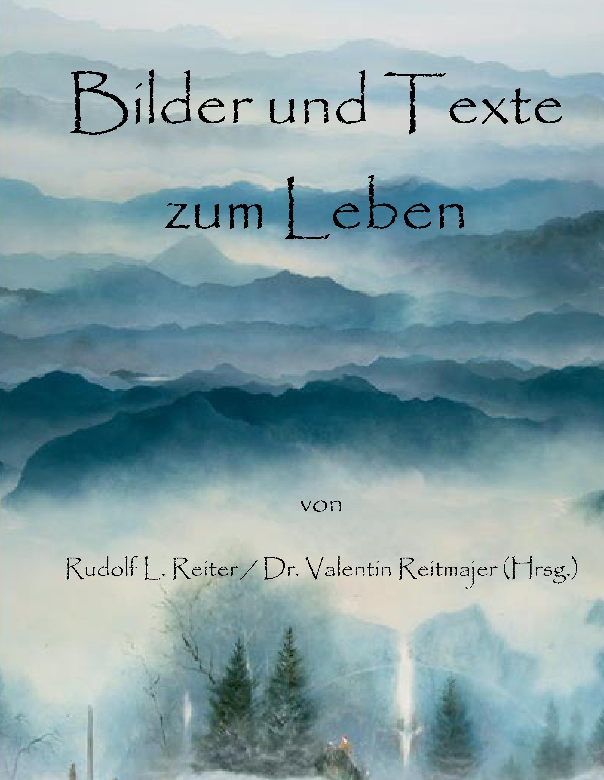 Vorderes Coverbild Bilder und Texte zum Leben