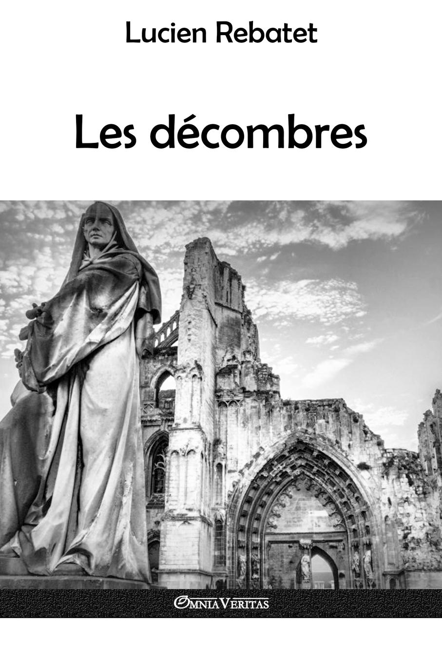 Vorderes Coverbild Les décombres