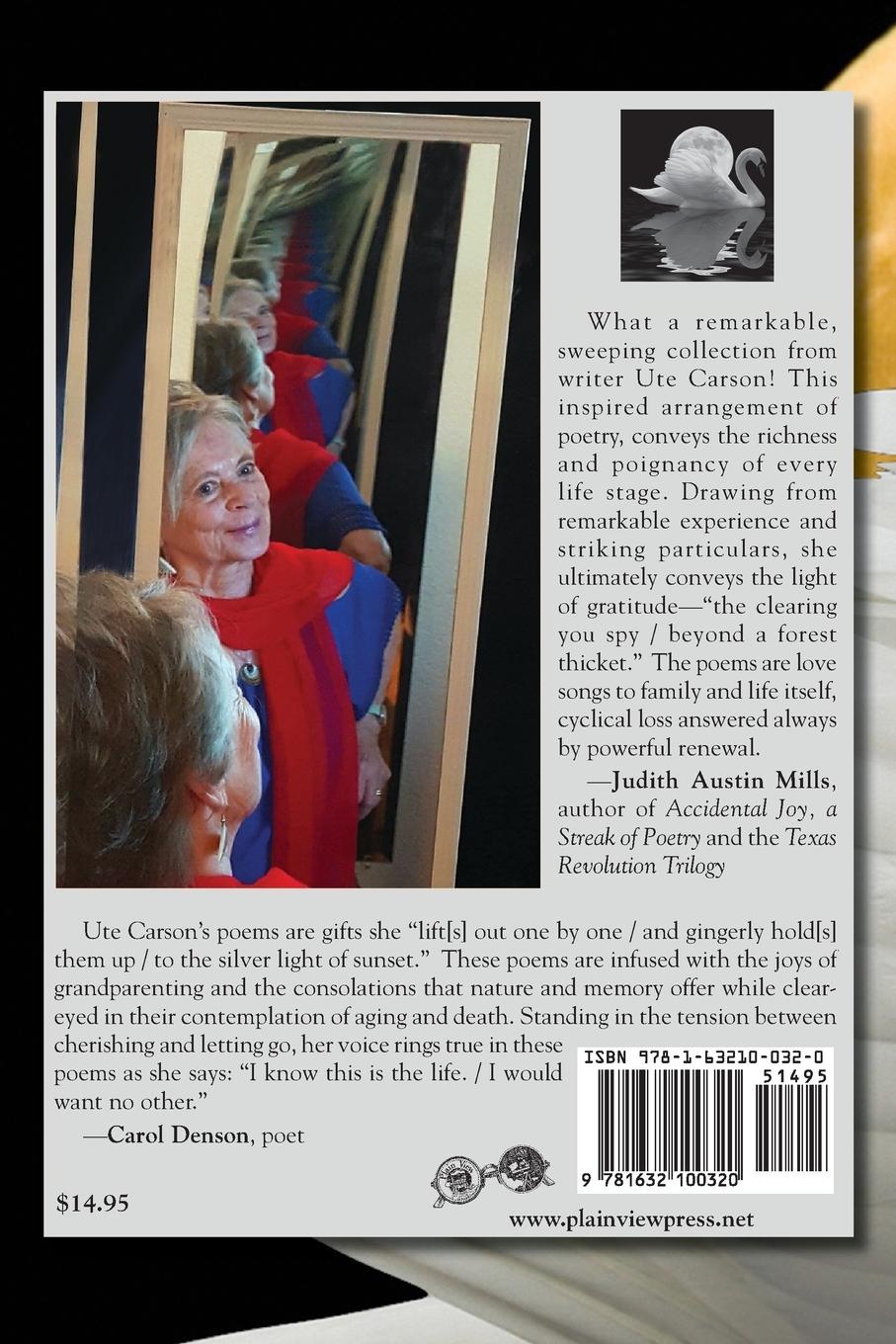 Rückseitencover Reflections