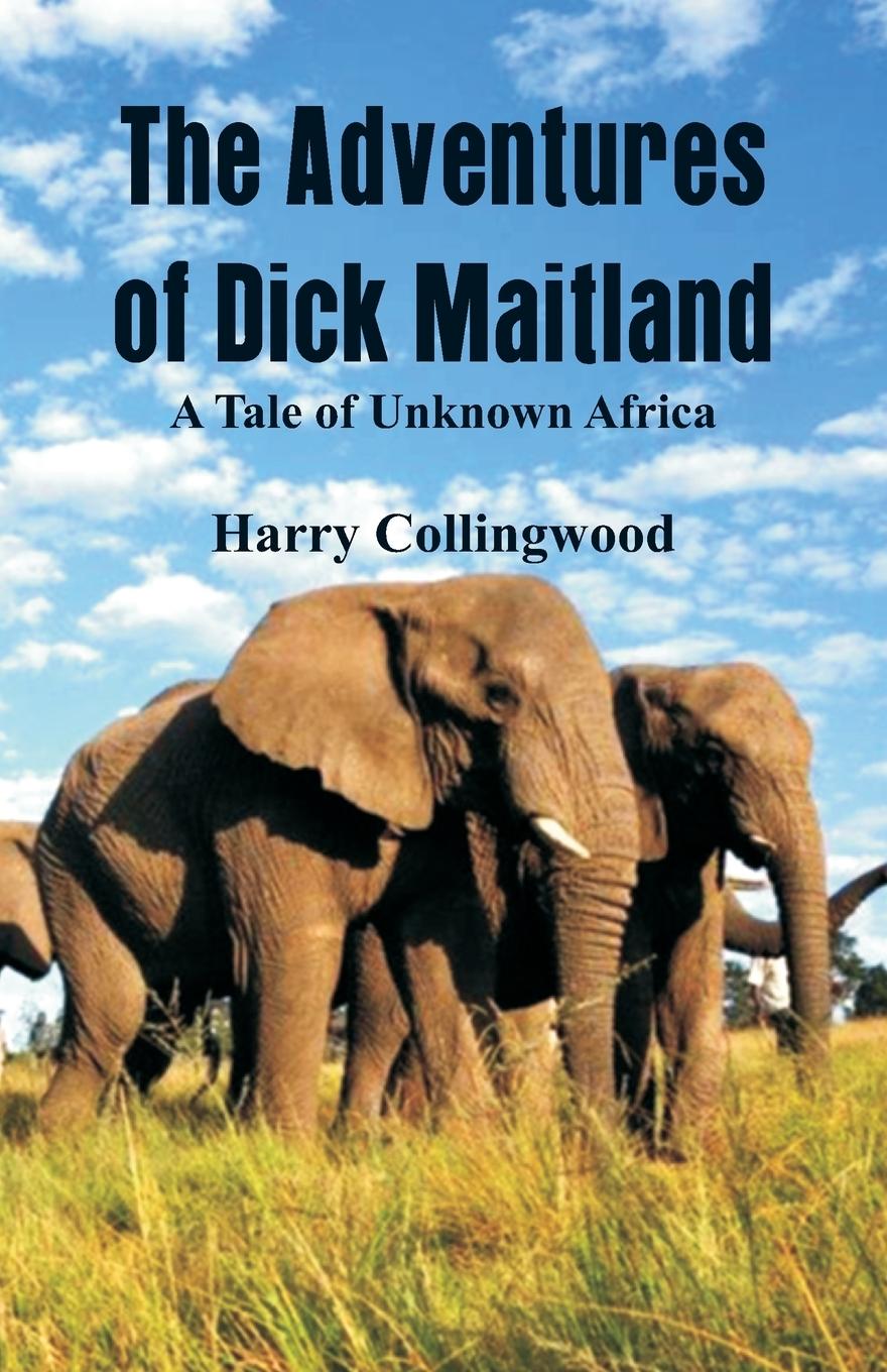 Vorderes Coverbild The Adventures of Dick Maitland A Tale of Unknown Africa
