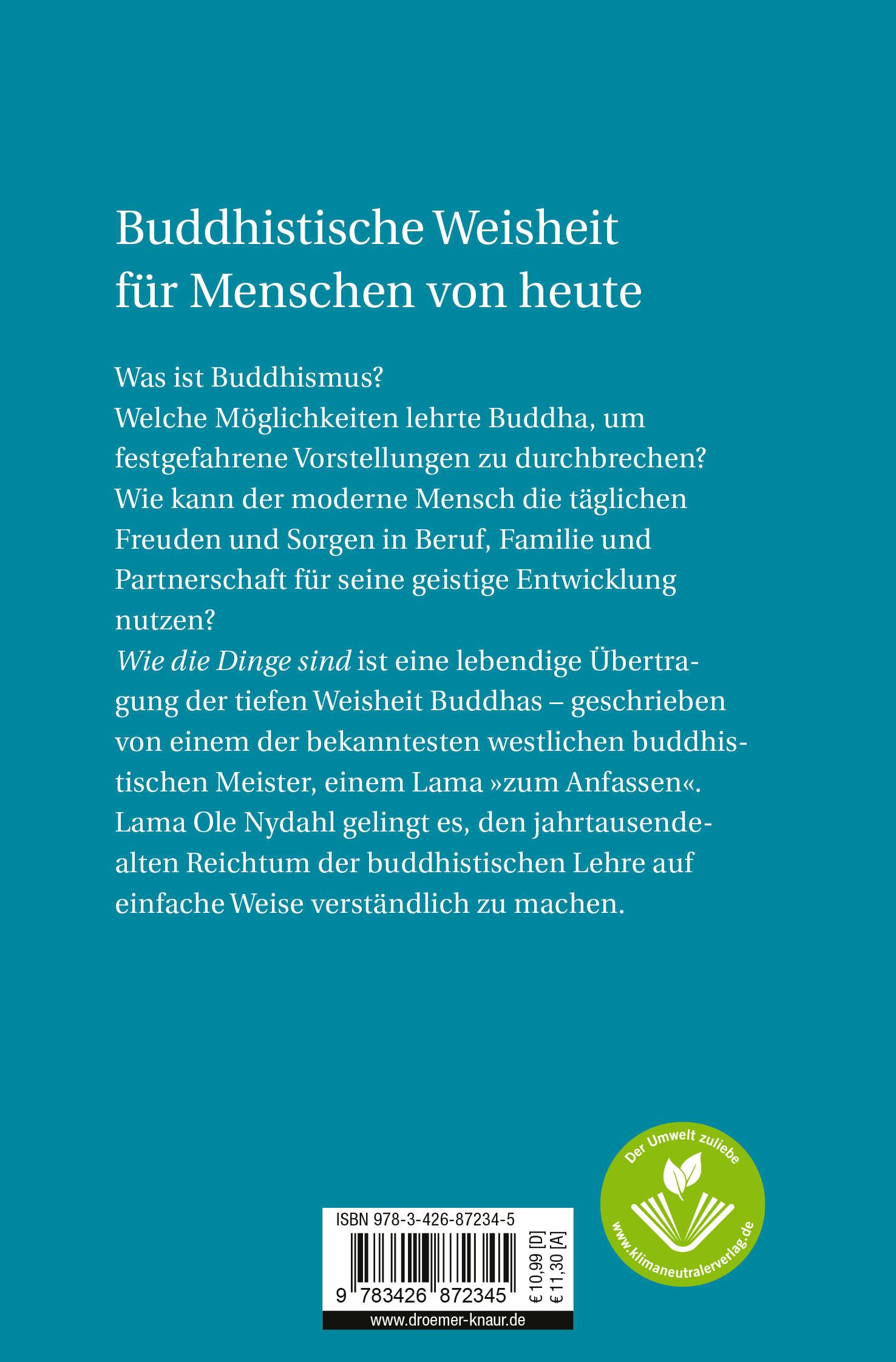 Rückseitencover Wie die Dinge sind