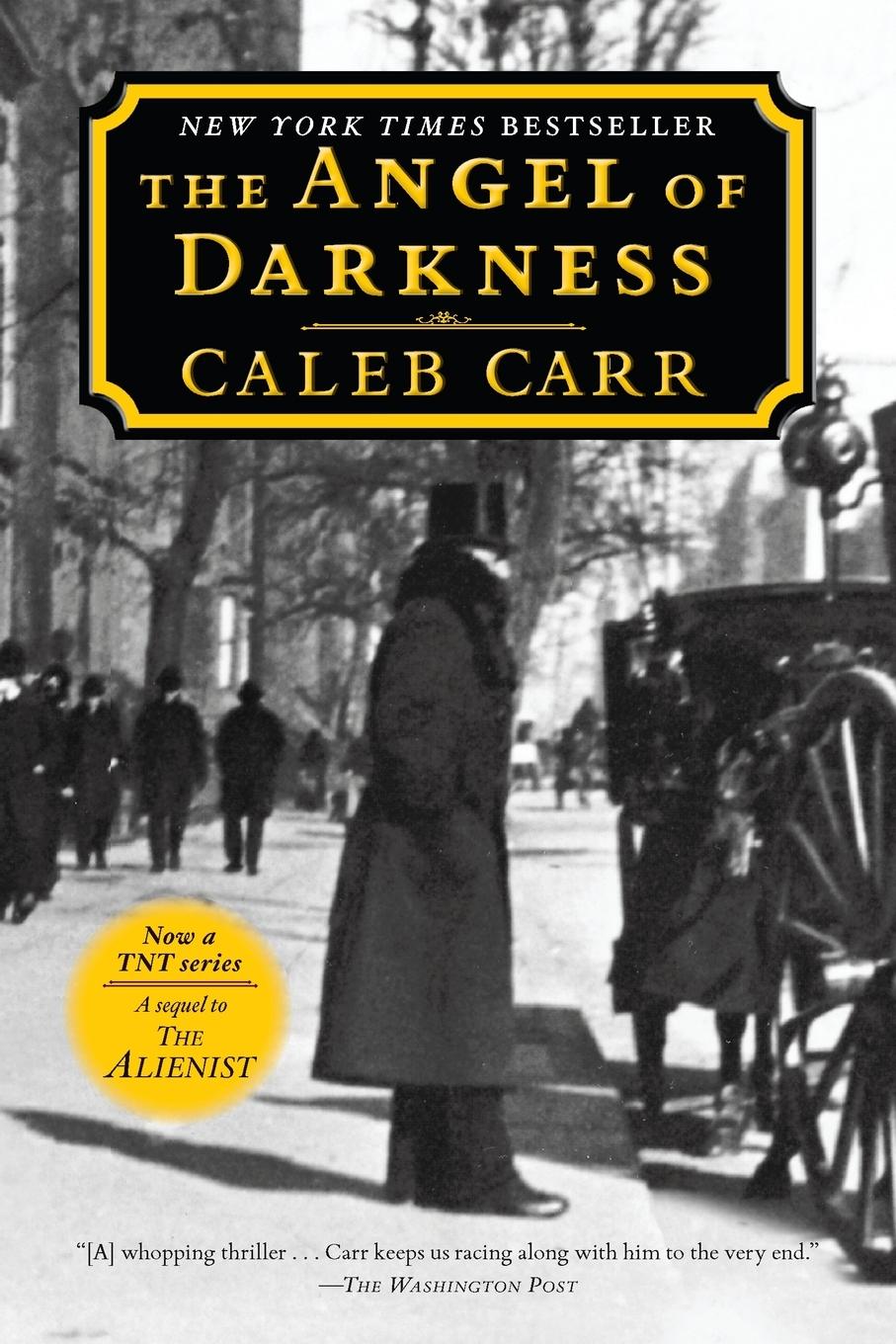 Vorderes Coverbild The Angel of Darkness