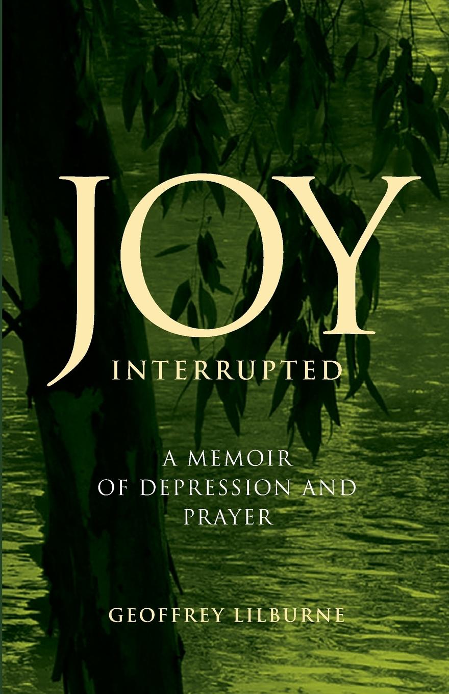 Vorderes Coverbild Joy Interrupted