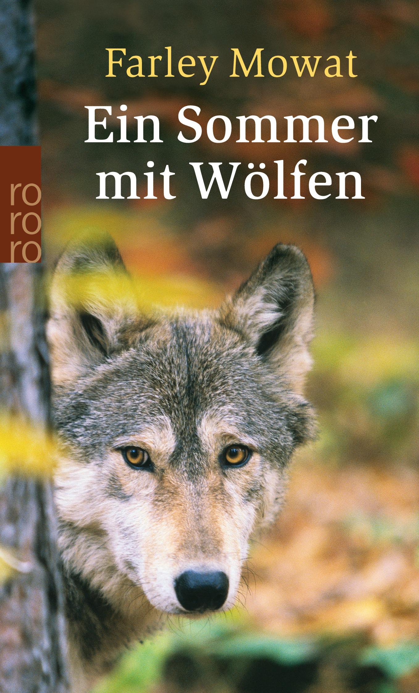 Vorderes Coverbild Ein Sommer mit Wölfen