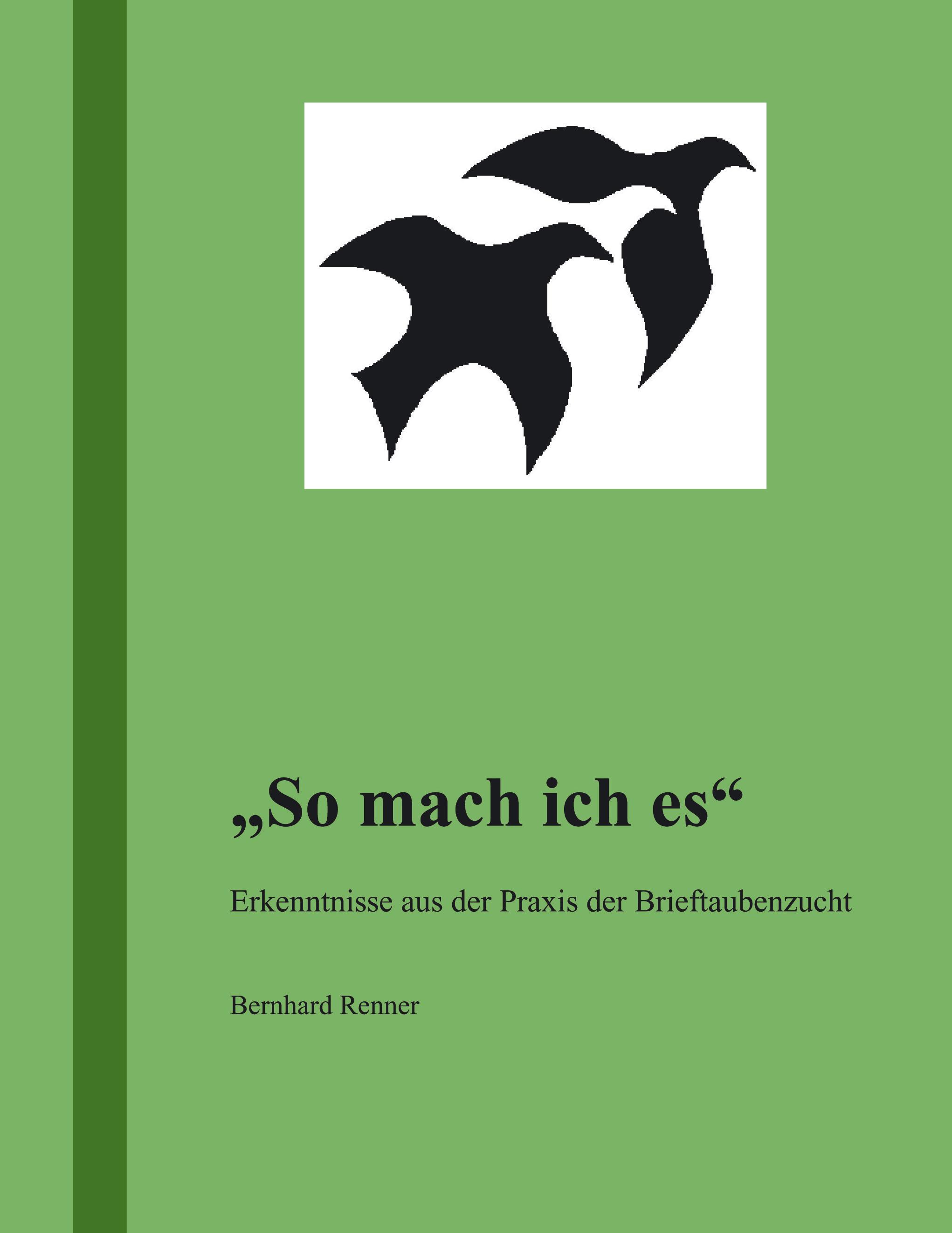 Vorderes Coverbild So mach ich es