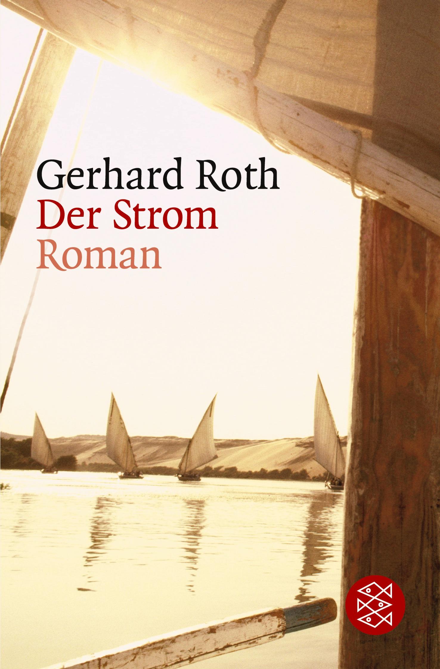 Vorderes Coverbild Der Strom