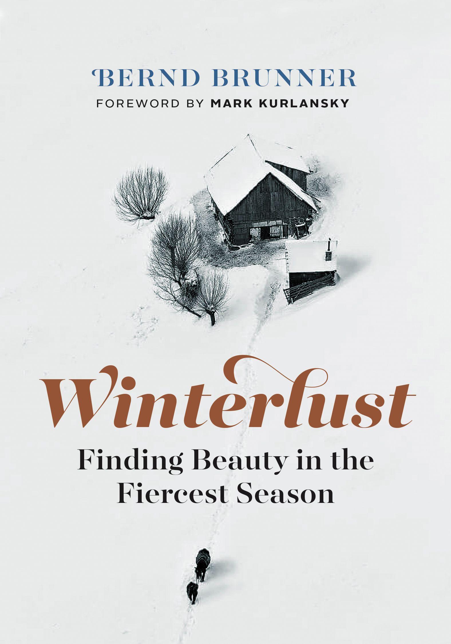 Vorderes Coverbild Winterlust