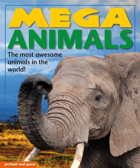 Vorderes Coverbild Mega Animals