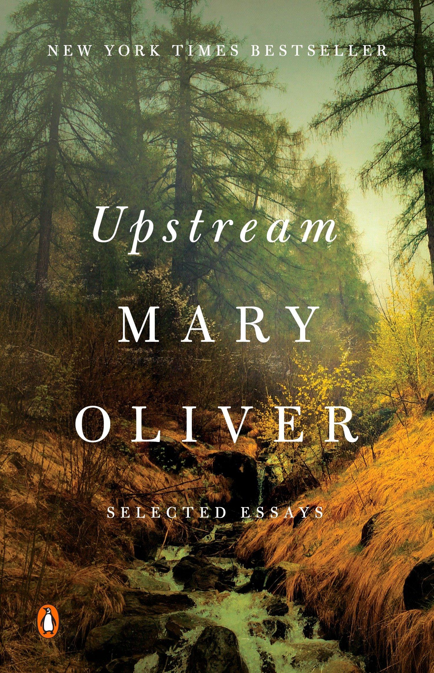 Vorderes Coverbild Upstream