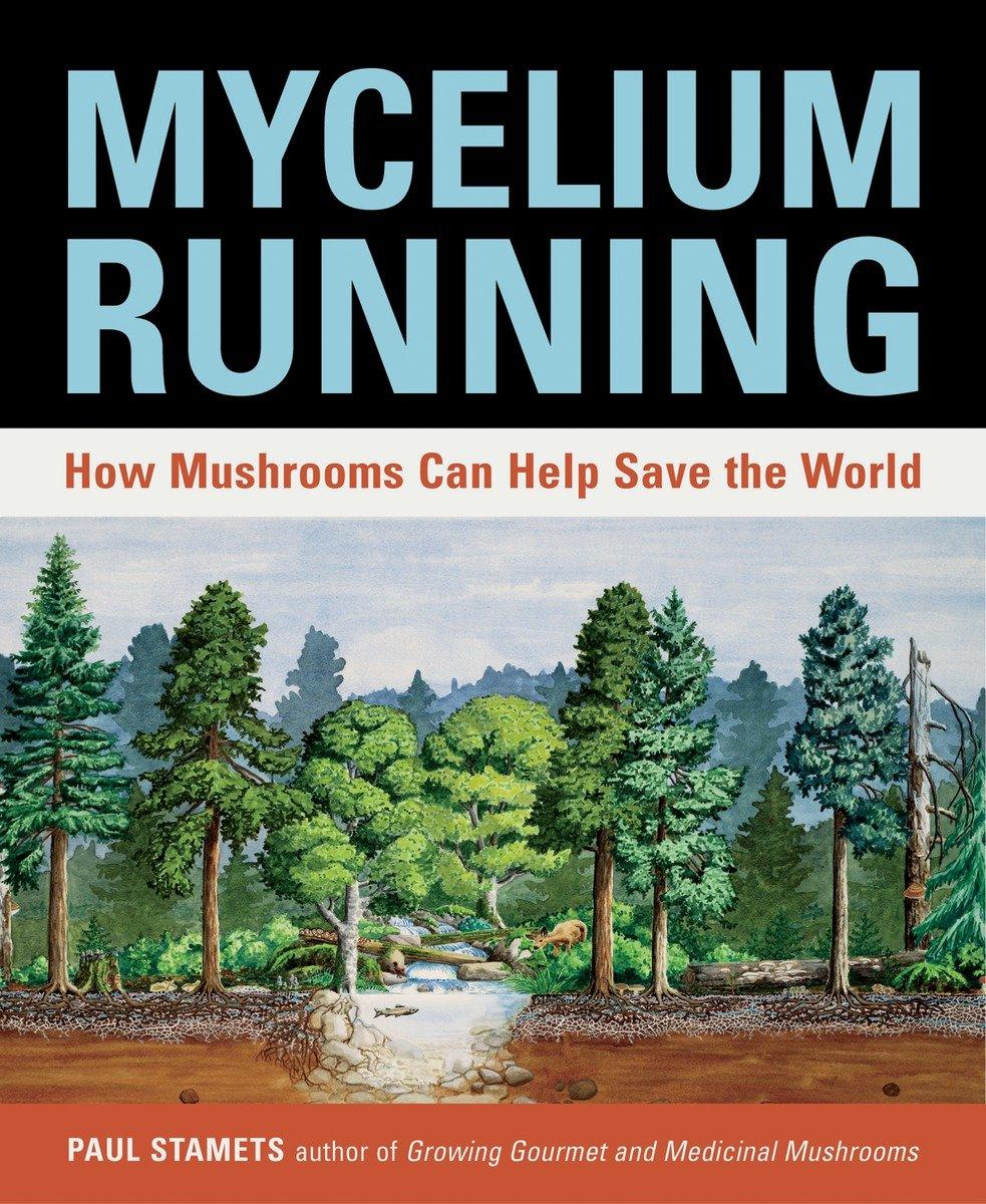 Vorderes Coverbild Mycelium Running
