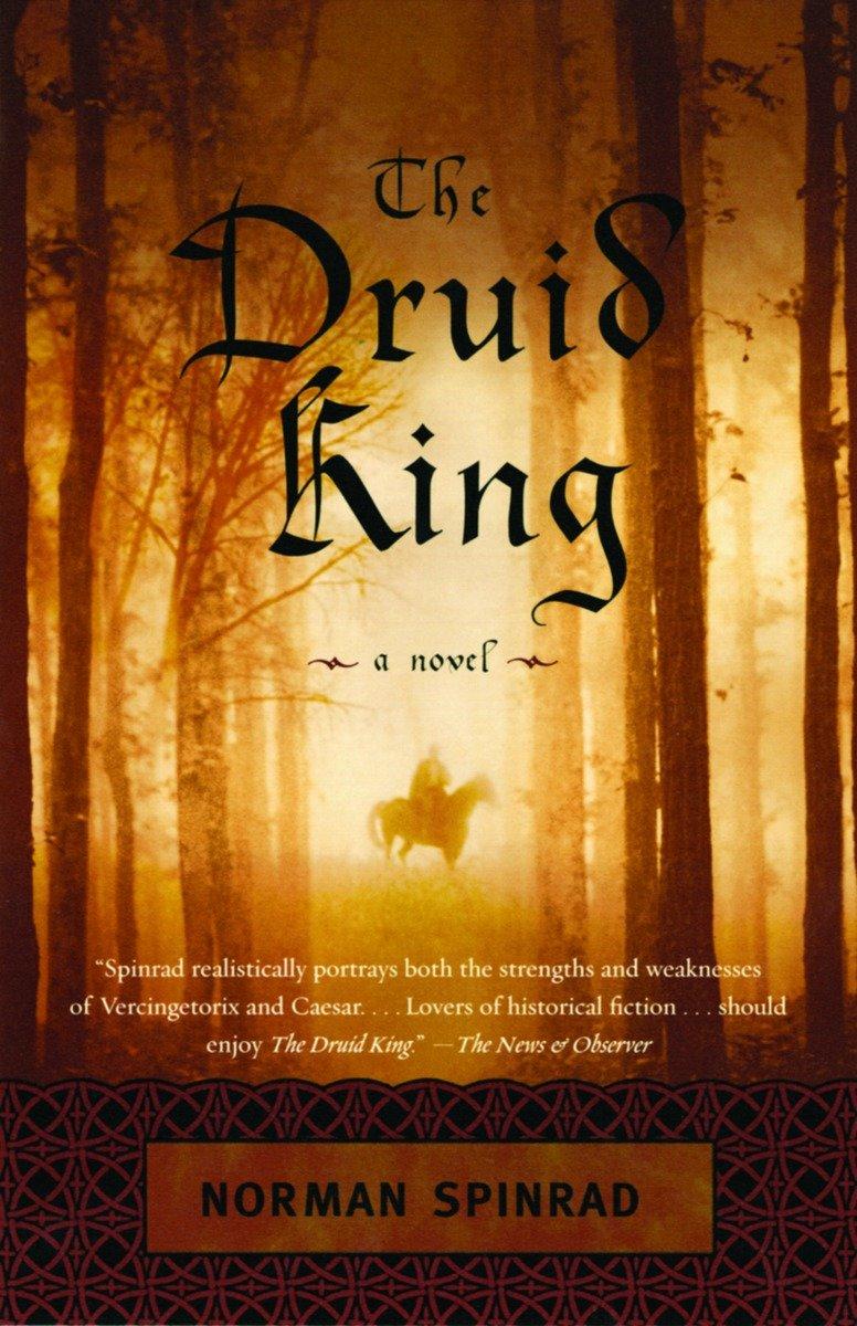 Vorderes Coverbild The Druid King