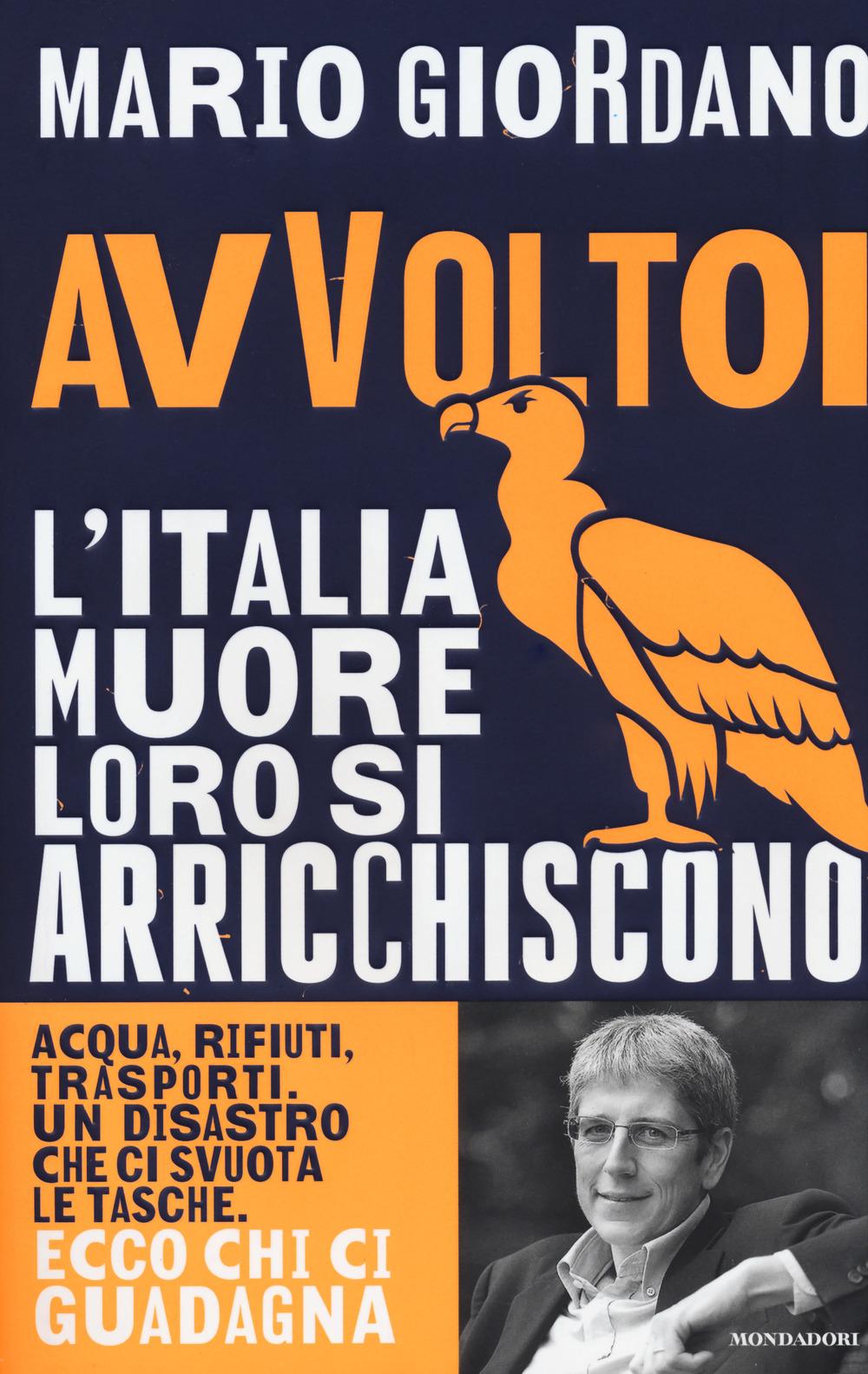 Vorderes Coverbild Avvoltoi. L'Italia muore loro si arricchiscono. Acqua, rifiuti, trasporti. Un disastro che ci svuota le tasche. Ecco chi ci guadagna