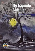 Vorderes Coverbild Ay Isiginda Gidenler