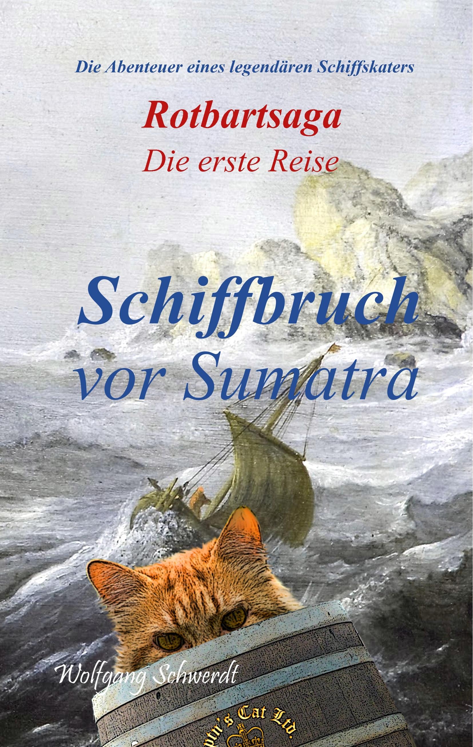 Vorderes Coverbild Rotbartsaga