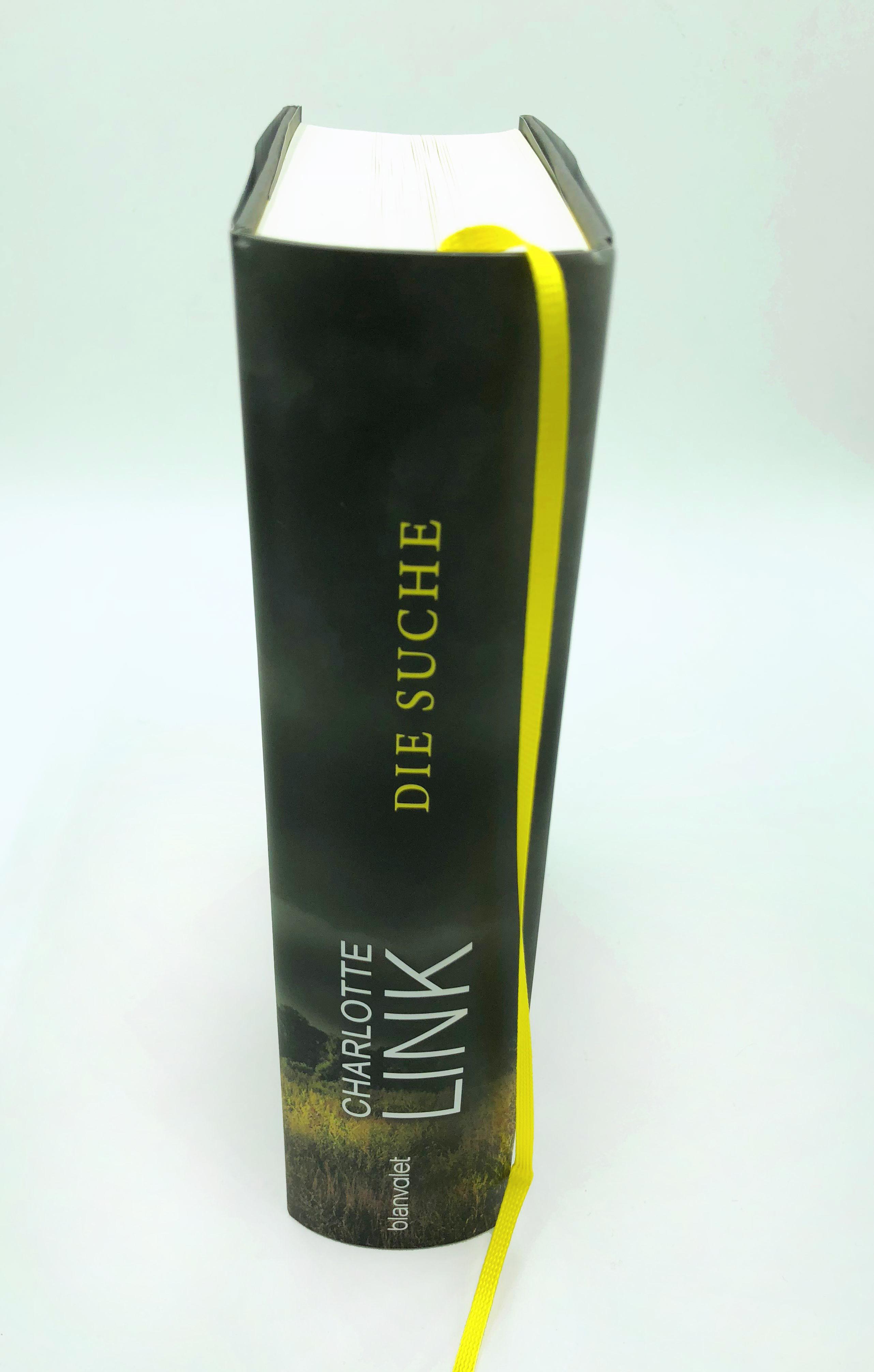 Beispielinhalt (Bild) Die Suche