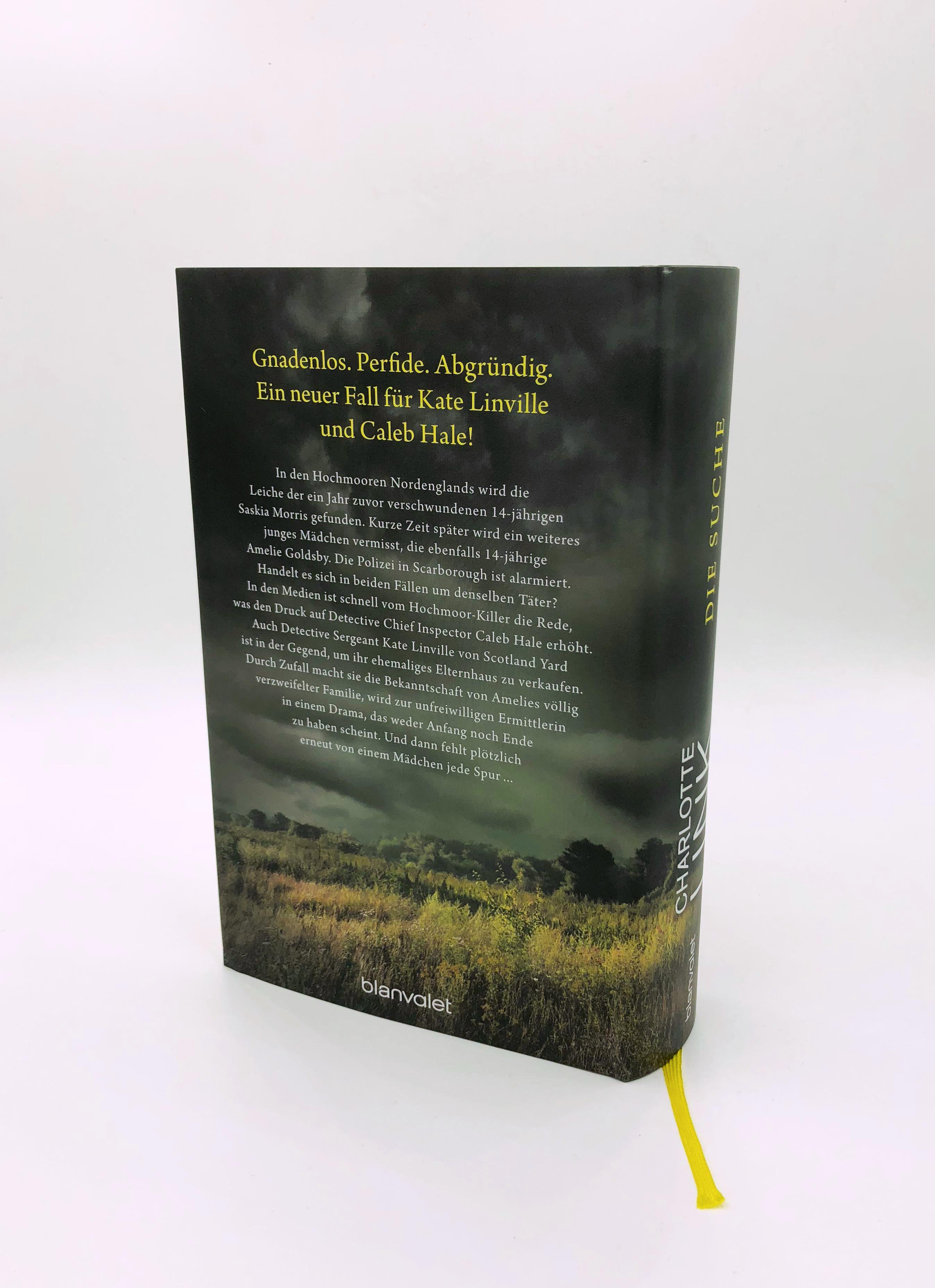 Beispielinhalt (Bild) Die Suche