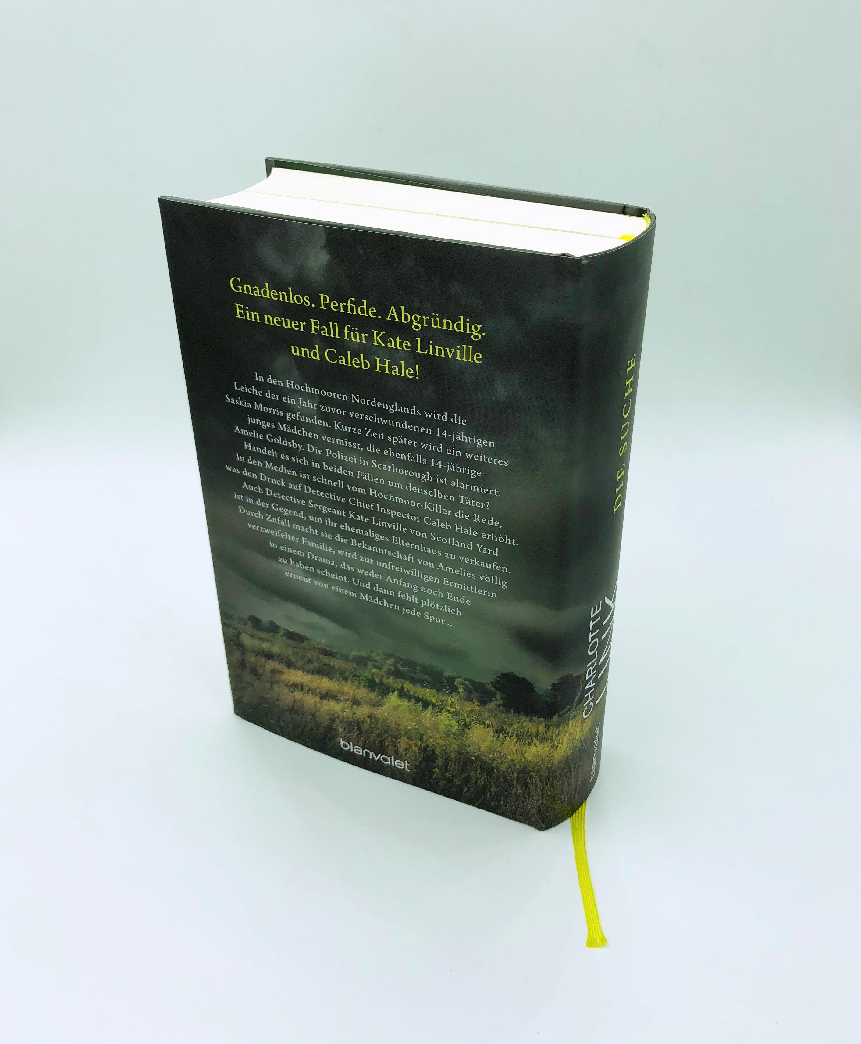 Beispielinhalt (Bild) Die Suche