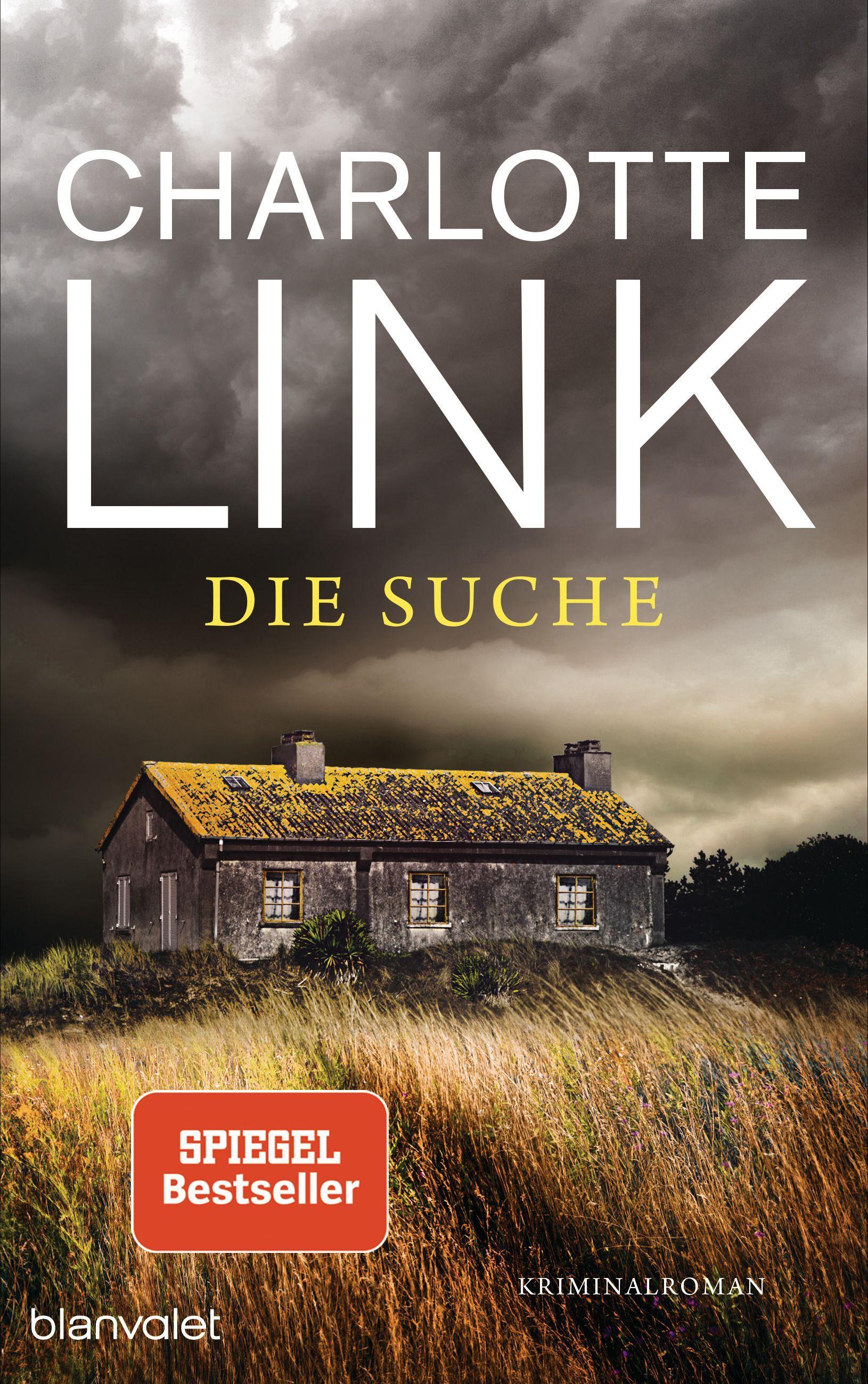 Vorderes Coverbild Die Suche