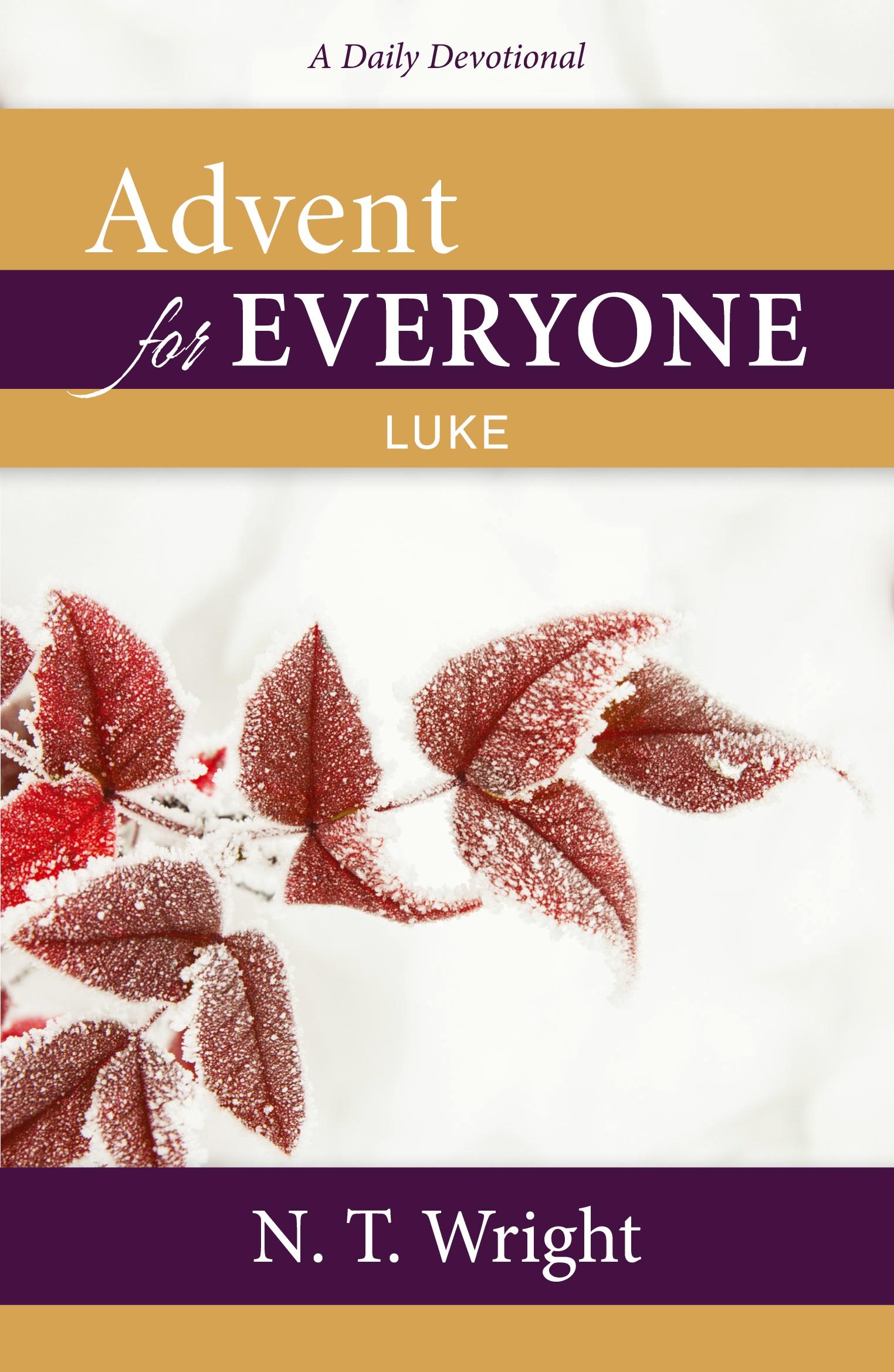 Vorderes Coverbild Advent for Everyone