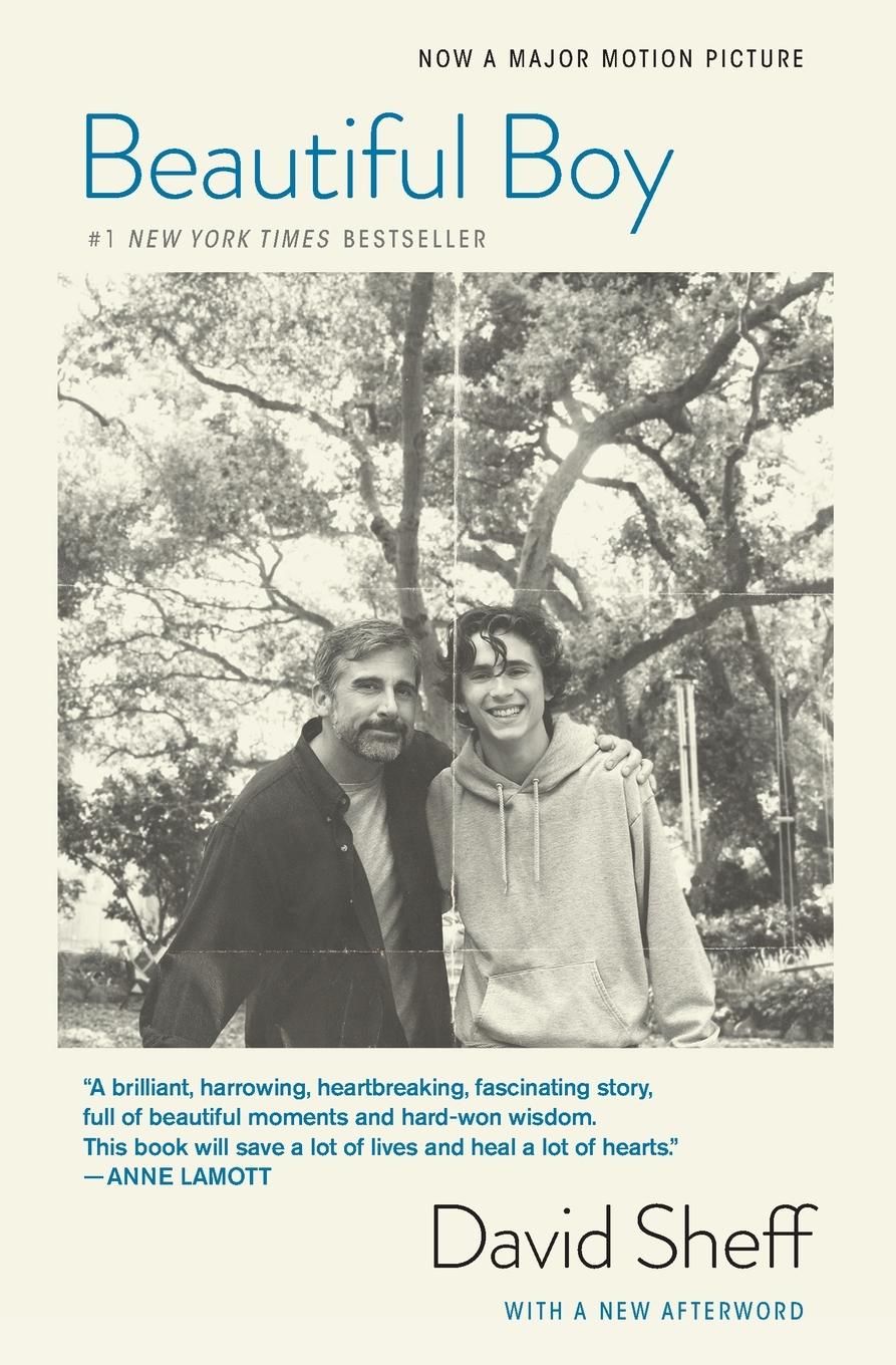 Vorderes Coverbild Beautiful Boy (Tie-In)