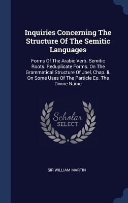 Vorderes Coverbild Inquiries Concerning The Structure Of The Semitic Languages