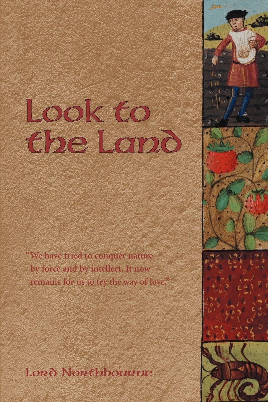 Vorderes Coverbild Look to the Land
