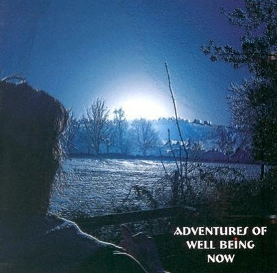 Vorderes Coverbild Adventures of Well Being Now